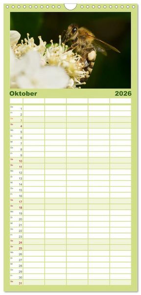 Produktbild: Familienplaner 2026 - Hummeln und Bienen mit 5 Spalten (Wandkalender, 21 x 45 cm) CALVENDO