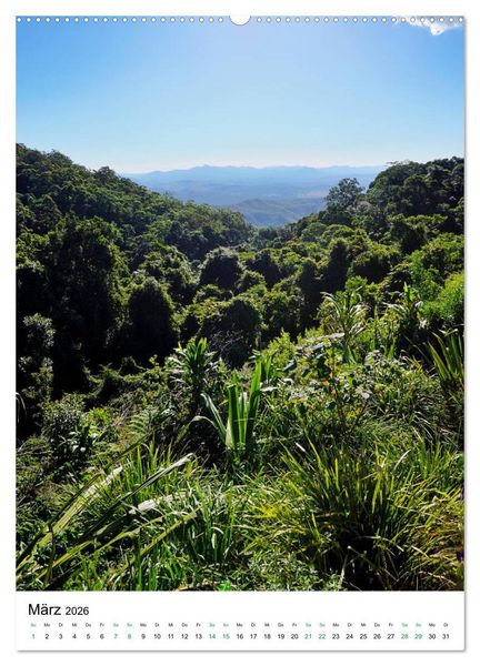 Produktbild: Regenwald - Australien (hochwertiger Premium Wandkalender 2026 DIN A2 hoch), Kunstdruck in Hochglanz