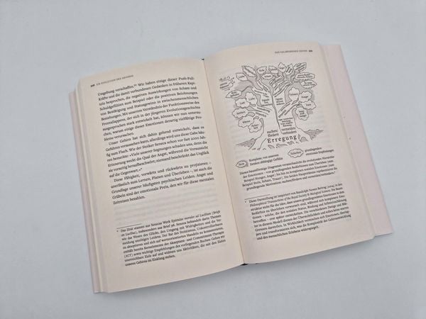 Produktbild: Die Evolution des Gehirns