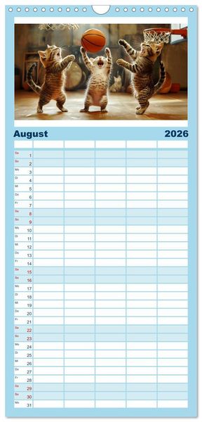 Produktbild: Familienplaner 2026 - Lustige Sportarten f&uuml;r Katzen mit 5 Spalten (Wandkalender, 21 x 45 cm) CALVENDO