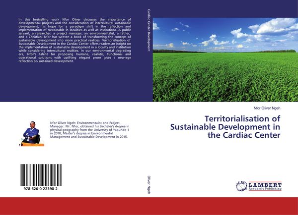 Produktbild: Territorialisation of Sustainable Development in the Cardiac Center