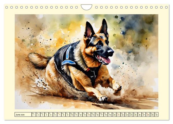 Produktbild: German Shepherds - classics around the globe (Wall Calendar 2026 DIN A4 landscape), CALVENDO 12 Month Wall Calendar