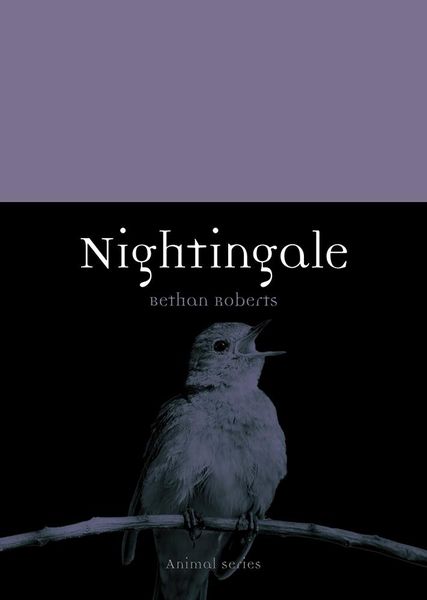Produktbild: Nightingale