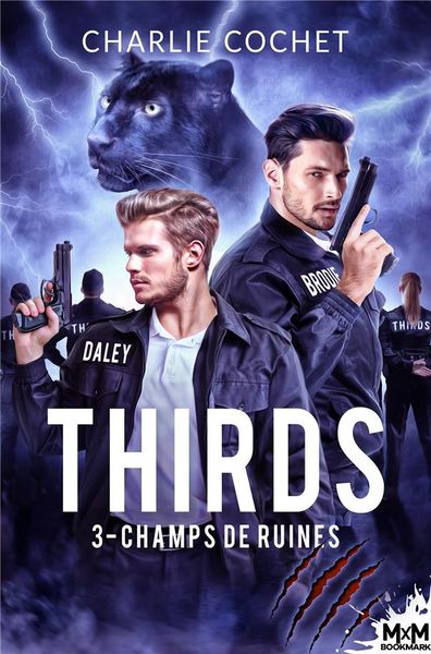 Produktbild: Champs de ruines