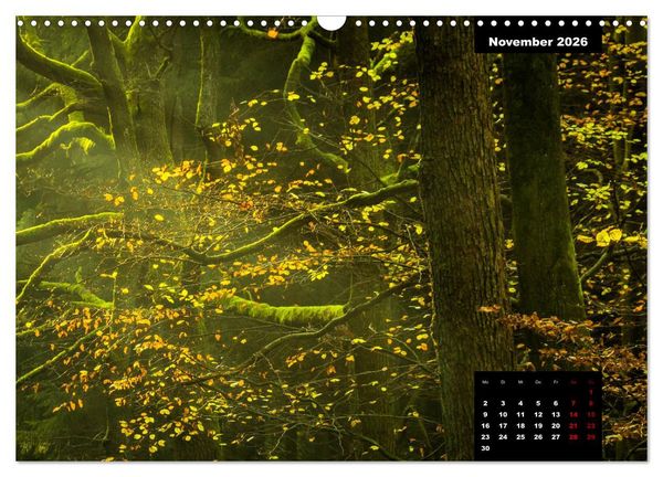 Produktbild: Malerisches Sauerland (Wandkalender 2026 DIN A3 quer), CALVENDO Monatskalender