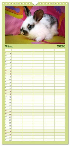 Produktbild: Familienplaner 2026 - Lustige Kaninchen mit 5 Spalten (Wandkalender, 21 x 45 cm) CALVENDO