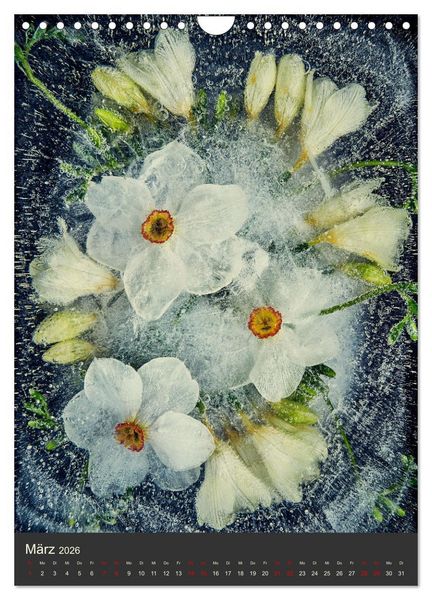 Produktbild: Magische Eisblumen (Wandkalender 2026 DIN A4 hoch), CALVENDO Monatskalender