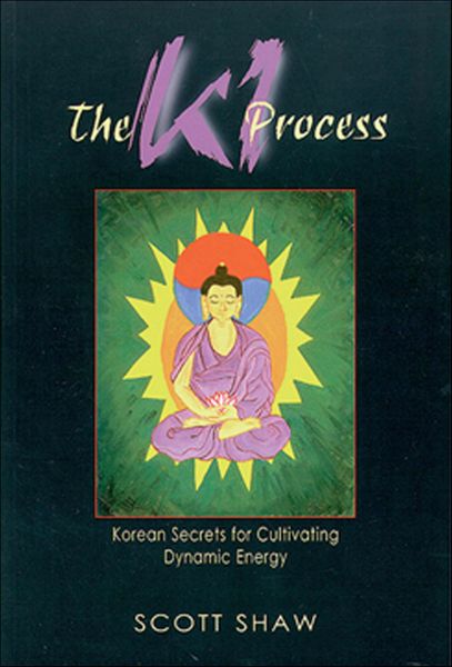 Produktbild: The The Ki Process