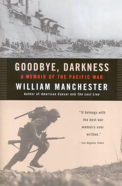 Produktbild: Goodbye, Darkness