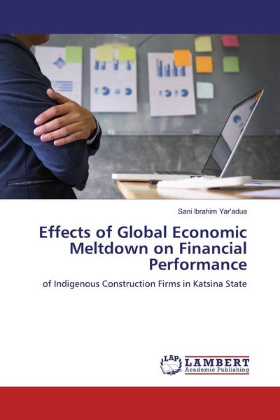 Produktbild: Effects of Global Economic Meltdown on Financial Performance