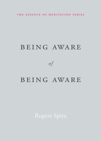 Produktbild: Being Aware of Being Aware