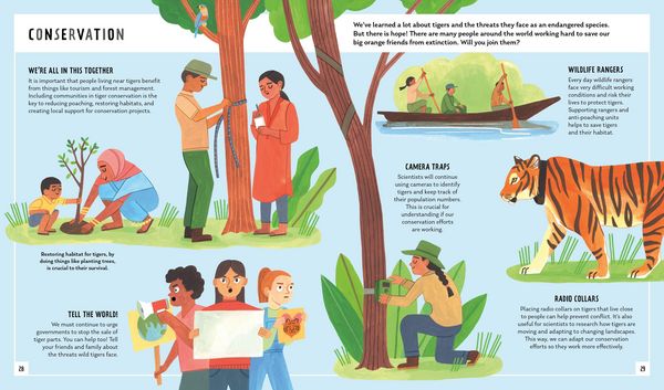 Produktbild: Tiger (Young Zoologist)
