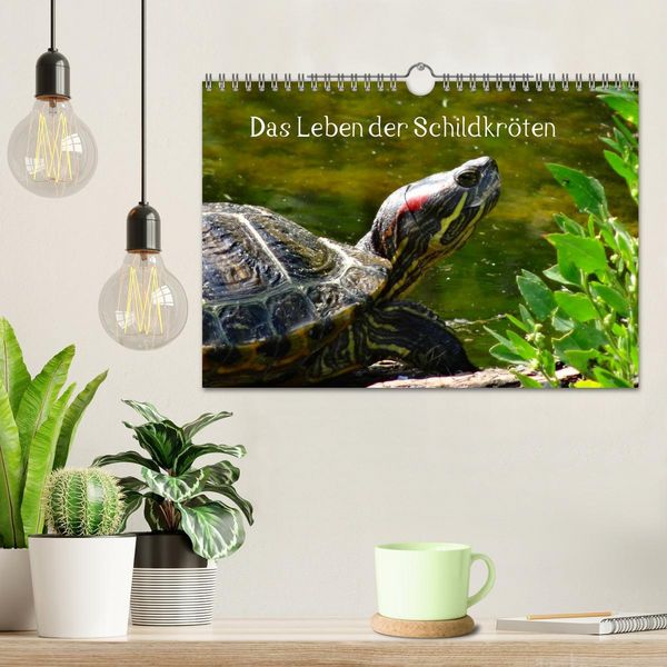 Produktbild: Das Leben der Schildkr&ouml;ten (Wandkalender 2026 DIN A4 quer), CALVENDO Monatskalender