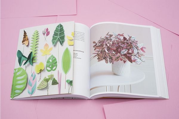Produktbild: Zimmerpflanzen aus der Papierwerkstatt