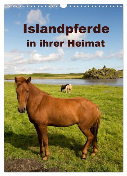 Produktbild: Islandpferde in ihrer Heimat (Wandkalender 2026 DIN A3 hoch), CALVENDO Monatskalender