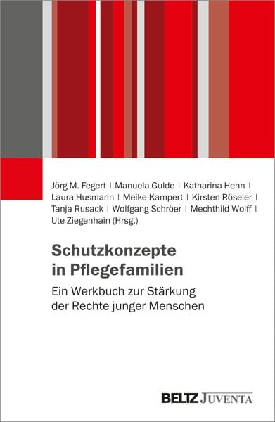 Produktbild: Schutzkonzepte in Pflegefamilien