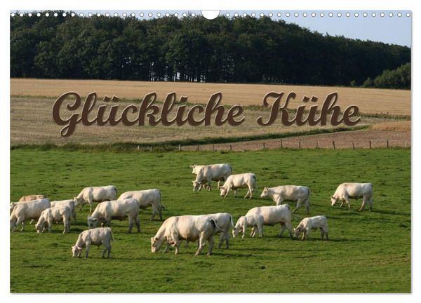 Produktbild: Gl&uuml;ckliche K&uuml;he (Wandkalender 2026 DIN A3 quer), CALVENDO Monatskalender