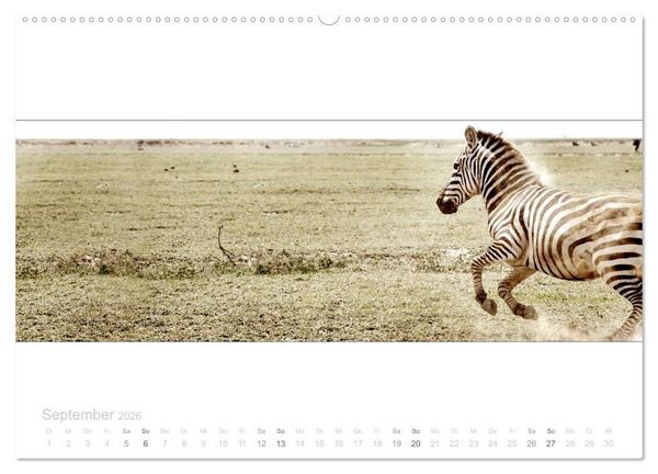 Produktbild: Serengeti Panorama (hochwertiger Premium Wandkalender 2026 DIN A2 quer), Kunstdruck in Hochglanz