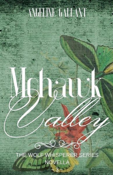 Produktbild: Mohawk Valley