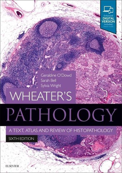Produktbild: Wheater's Pathology: A Text, Atlas and Review of Histopathology
