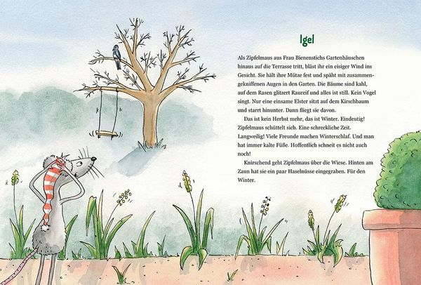 Produktbild: Zipfelmaus und der wunderbare Weihnachtsplan