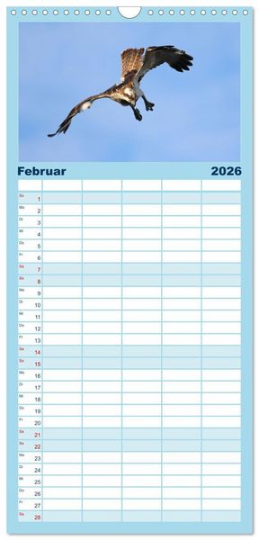 Produktbild: Familienplaner 2026 - Fischadler - Meister des Sturzfluges mit 5 Spalten (Wandkalender, 21 x 45 cm) CALVENDO