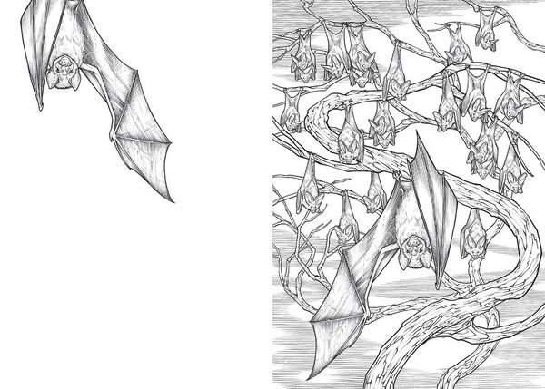 Produktbild: Goth Colouring Bk Pb