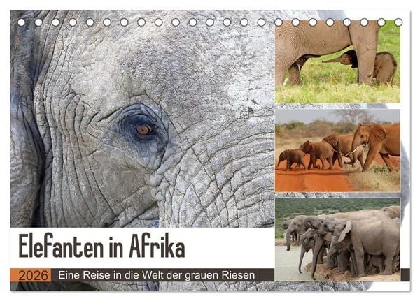 Elefanten in Afrika (Tischkalender 2026 DIN A5 quer), CALVENDO Monatskalender