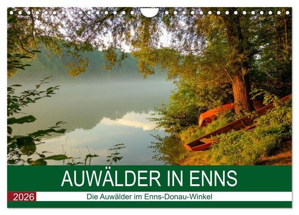 Auwälder bei Enns (Wandkalender 2026 DIN A4 quer), CALVENDO Monatskalender