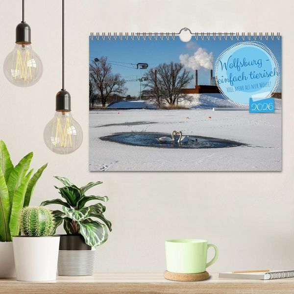 Produktbild: Wolfsburg - einfach tierisch (Wandkalender 2026 DIN A4 quer), CALVENDO Monatskalender