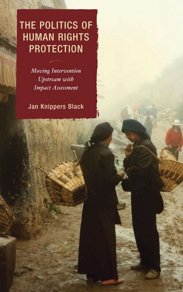 Produktbild: The Politics of Human Rights Protection