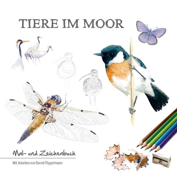 Produktbild: Tiere im Moor