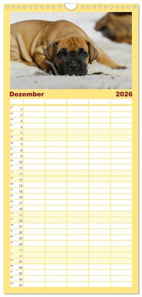 Produktbild: Familienplaner 2026 - Deutsche Dogge mit 5 Spalten (Wandkalender, 21 x 45 cm) CALVENDO