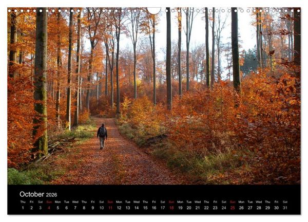 Produktbild: Images of Germany (Wall Calendar 2026 DIN A3 landscape), CALVENDO 12 Month Wall Calendar