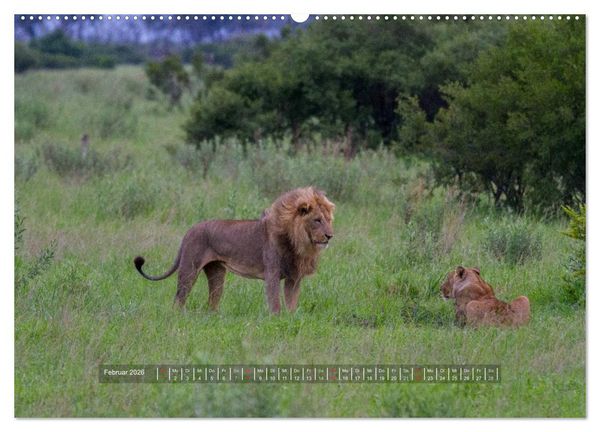 Produktbild: Abenteuer Botswana Afrika - Adventure Botswana (Wandkalender 2026 DIN A2 quer), CALVENDO Monatskalender