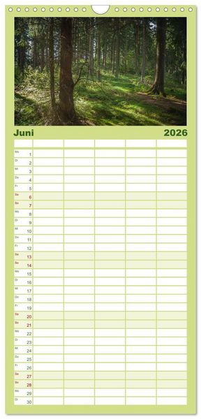 Produktbild: Familienplaner 2026 - Magischer Harzwald mit 5 Spalten (Wandkalender, 21 x 45 cm) CALVENDO