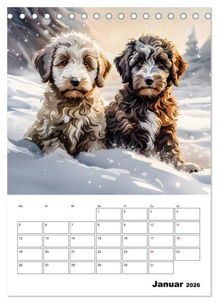 Produktbild: Aussiedoodle - Hunde zum Liebhaben (Tischkalender 2026 DIN A5 hoch), CALVENDO Monatskalender