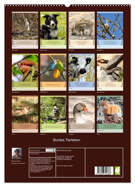 Produktbild: Buntes Tierleben (hochwertiger Premium Wandkalender 2026 DIN A2 hoch), Kunstdruck in Hochglanz