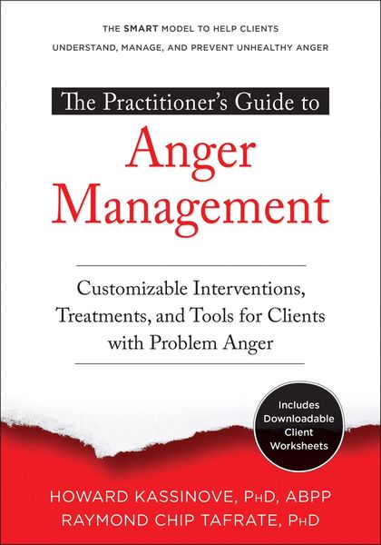 Produktbild: The Practitioner's Guide to Anger Management