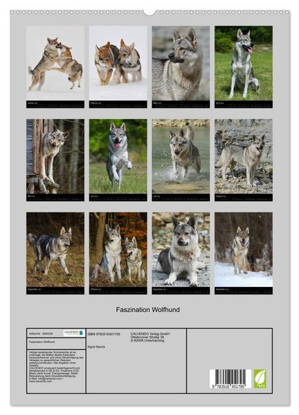 Produktbild: Faszination Wolfhund (hochwertiger Premium Wandkalender 2026 DIN A2 hoch), Kunstdruck in Hochglanz