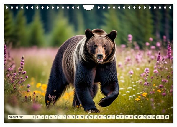 Produktbild: Gro&szlig;e und kleine B&auml;ren (Wandkalender 2026 DIN A4 quer), CALVENDO Monatskalender