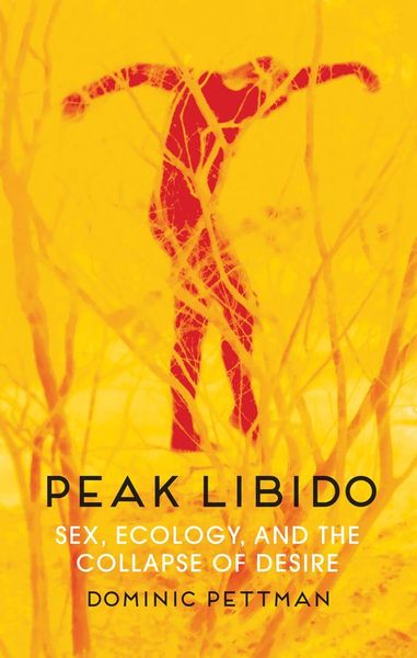 Produktbild: Peak Libido