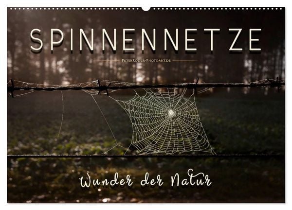 Produktbild: Spinnennetze - Wunder der Natur (Wandkalender 2026 DIN A2 quer), CALVENDO Monatskalender