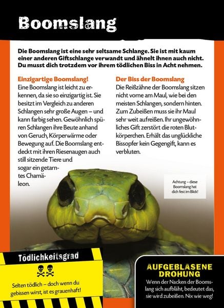Produktbild: Die 100 t&ouml;dlichsten Dinge der Welt