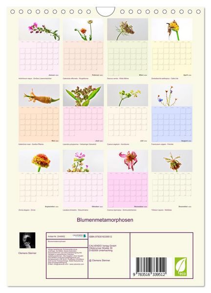 Produktbild: Blumenmetamorphosen (Wandkalender 2026 DIN A4 hoch), CALVENDO Monatskalender