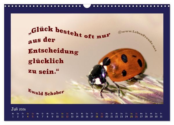 Produktbild: Bewusst leben und gl&uuml;cklich sein (Wandkalender 2026 DIN A3 quer), CALVENDO Monatskalender