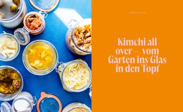 Produktbild: Fantastisch fermentiert