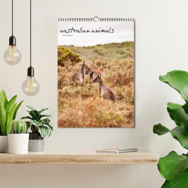 Produktbild: australian animals (Wandkalender 2026 DIN A3 hoch), CALVENDO Monatskalender