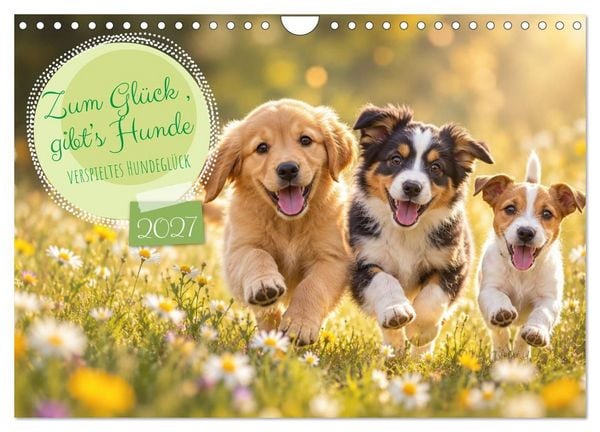 Produktbild: Zum Gl&uuml;ck gibt&rsquo;s Hunde (Wandkalender 2027 DIN A4 quer), CALVENDO Monatskalender