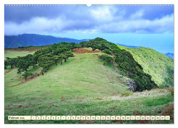 Produktbild: Mystische W&auml;lder - Zauber der Natur (hochwertiger Premium Wandkalender 2026 DIN A2 quer), Kunstdruck in Hochglanz